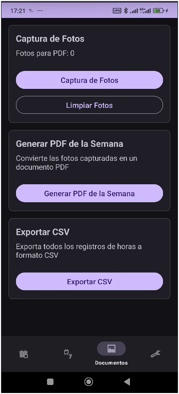 Vista diaria de horas